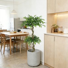 5.2ft Artificial Ficus Banyan Tree with Pot, Green Silk Leaves
