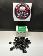 Auveco 18484 Black Nylon Lic. Plate Screw & Nut 1/4-20 X 5/8 • 25 Pcs.