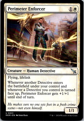 Perimeter Enforcer - 31 - LP