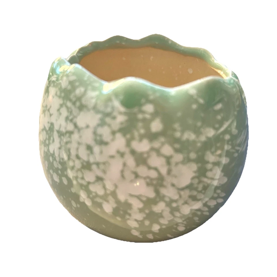 "Pequeña maceta para plantas suculentas verde salvia claro y blanco moteado 3"" a través" Foto 2 de 4