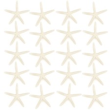 20 PCS 2.54 Inch Natural White Sea Shell Starfish Decor Craft Fish Tank