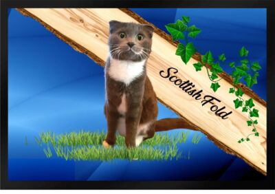 Fußmatte Schmutzfangmatte Katze Rassekatze Scottish Fold F1243