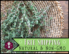 4,400 Common Thyme Seeds, Herb Gardening Seed Packet, Heirloom, Non-GMO