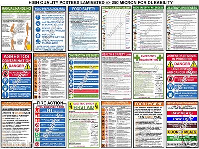 GESUNDHEITSSICHERHEIT A3 POSTER STROMSCHLAG ERSTE HILFE COSHH CHIPS FEUER LEBENSMITTELALLERGIE