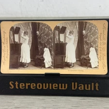 Pickwick's Mistake Stereoview Keystone View Co. 1890s Minnesota