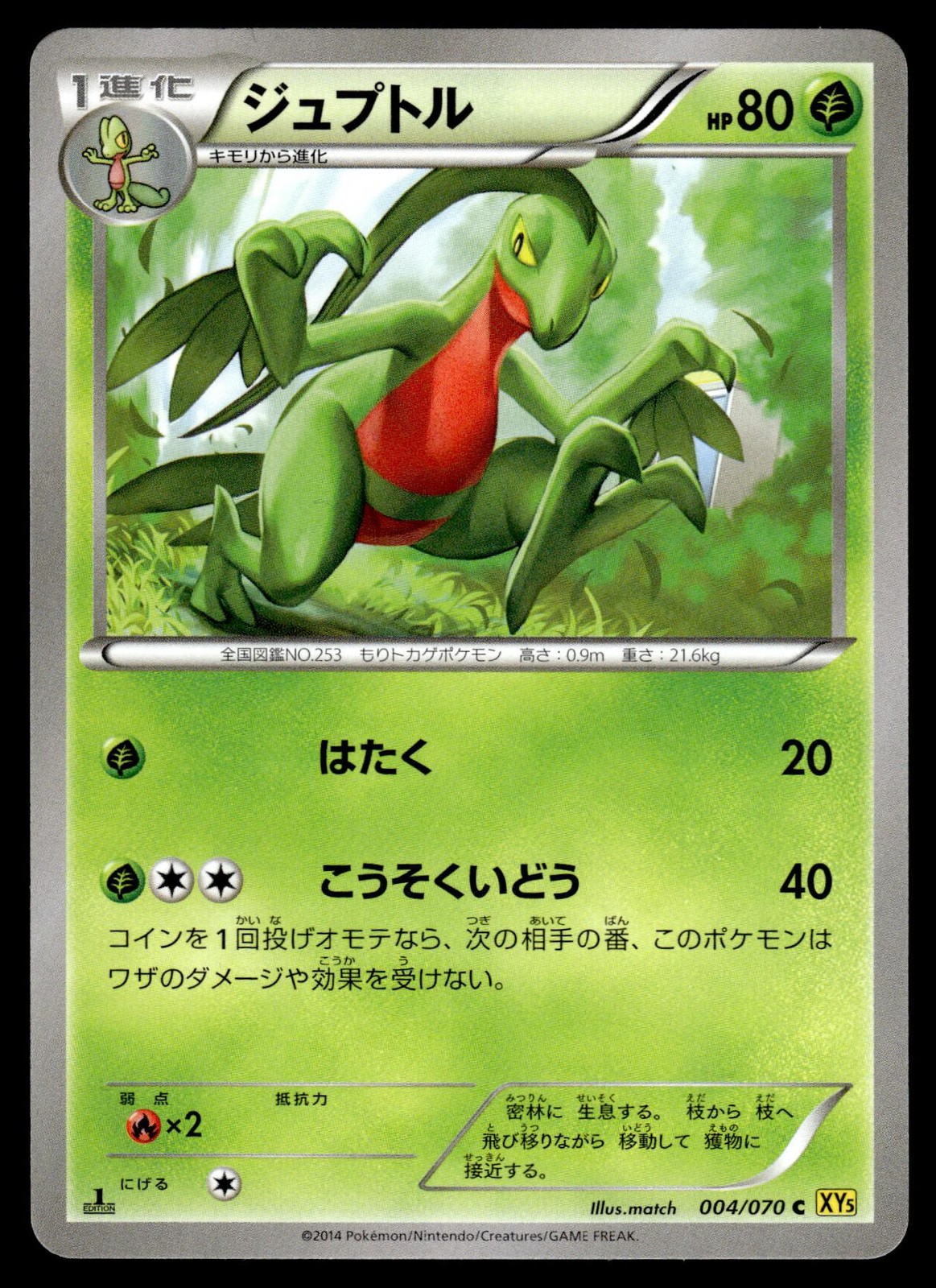 Grovyle 004/070 Common Gaia Volcano Pokemon Japanese 1st Edition NM