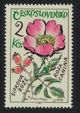 Medicinal Plants Dog rose Czechoslovakia 1965 MNH SG#1544