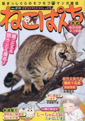 Comic Neko Punch: Cat's Tail Viewing Autumn Leaves Issue (NyanCOMI) Japanese