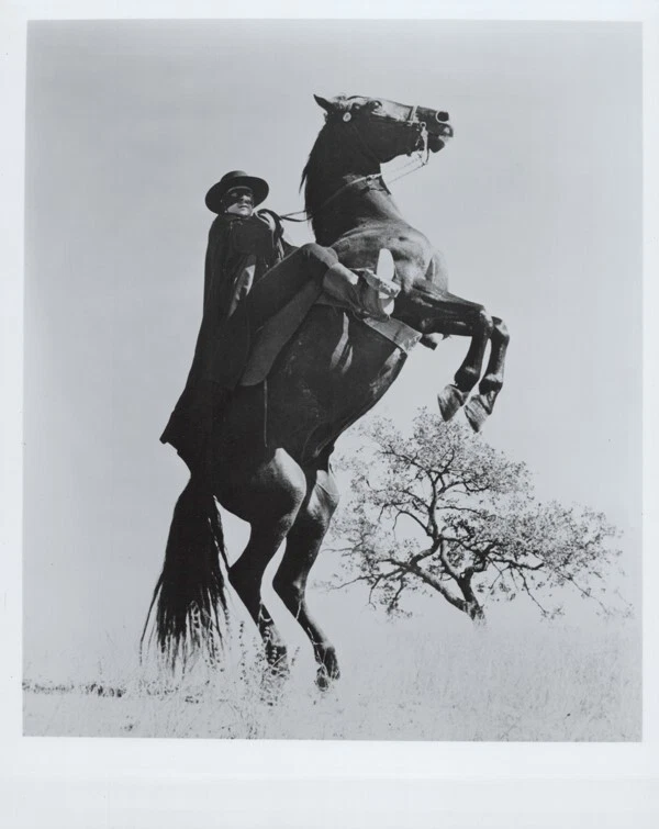 Zorro Disney classic TV series Guy Williams rears his horse 8x10 inch photo  | eBay