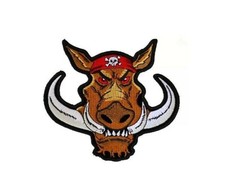 Large BIKER HOG 11-7/8" x 11" iron on back patch 3757 Skull Crossbones L20 