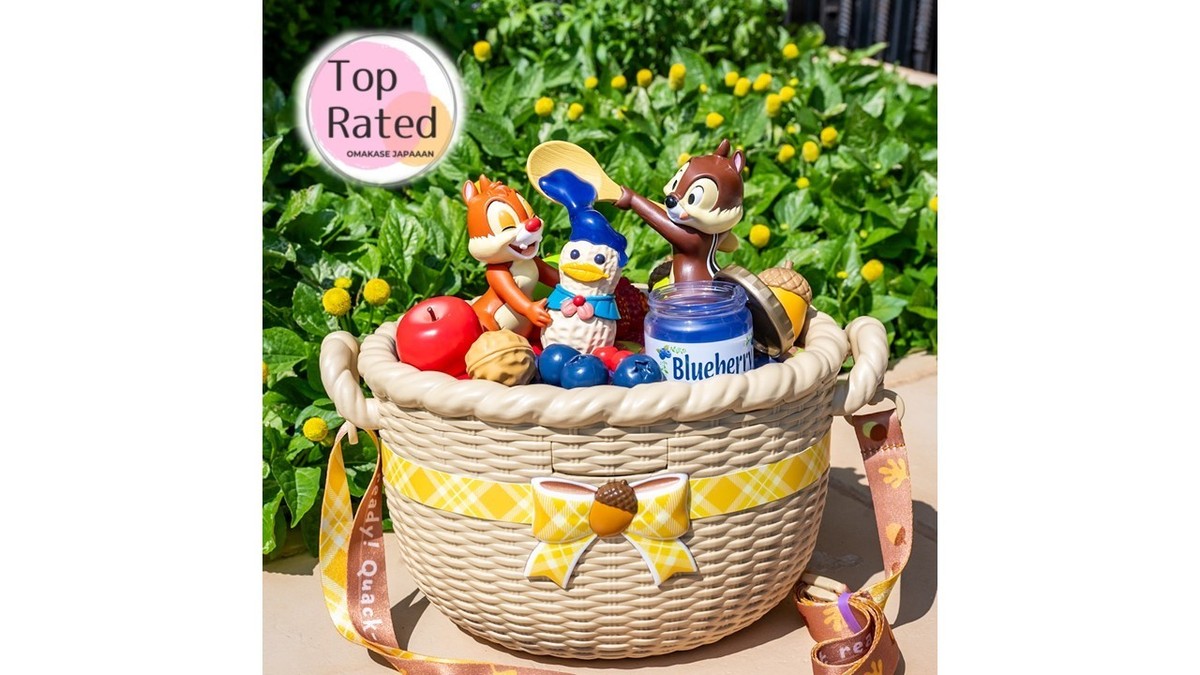 Japan Tokyo Disney Chip and Dale Donald Peanuts Popcorn Bucket