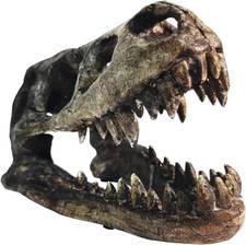 Dinosaur Skull T-Rex Bones Resin Craft Statue for Home Office Shelf Decor Lifeli