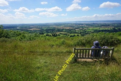 Photo 12x8 Bench on Stinchcombe Hill Helping one to enjoy the view. The Se c2016