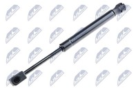 NTY AE-FR-043 Gasfeder, Kofferraum Und LadefläChe FüR Ford