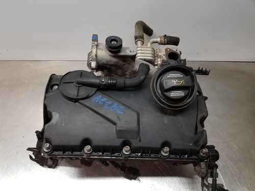 03G103351C ZYLINDERKOPF DES MOTORS / 38103373R / 959887 FÜR VOLKSWAGEN GOLF V BE