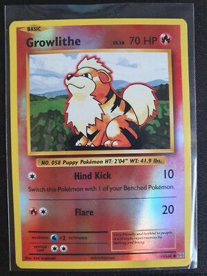 Pokemon - Growlithe 17/108 XY Evolutions Rare Holo - Englisch NM