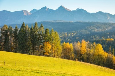 Wandbild: Hohe Tatra vom Pass über Lapszanka aus gesehen. Lapszanka, [...]