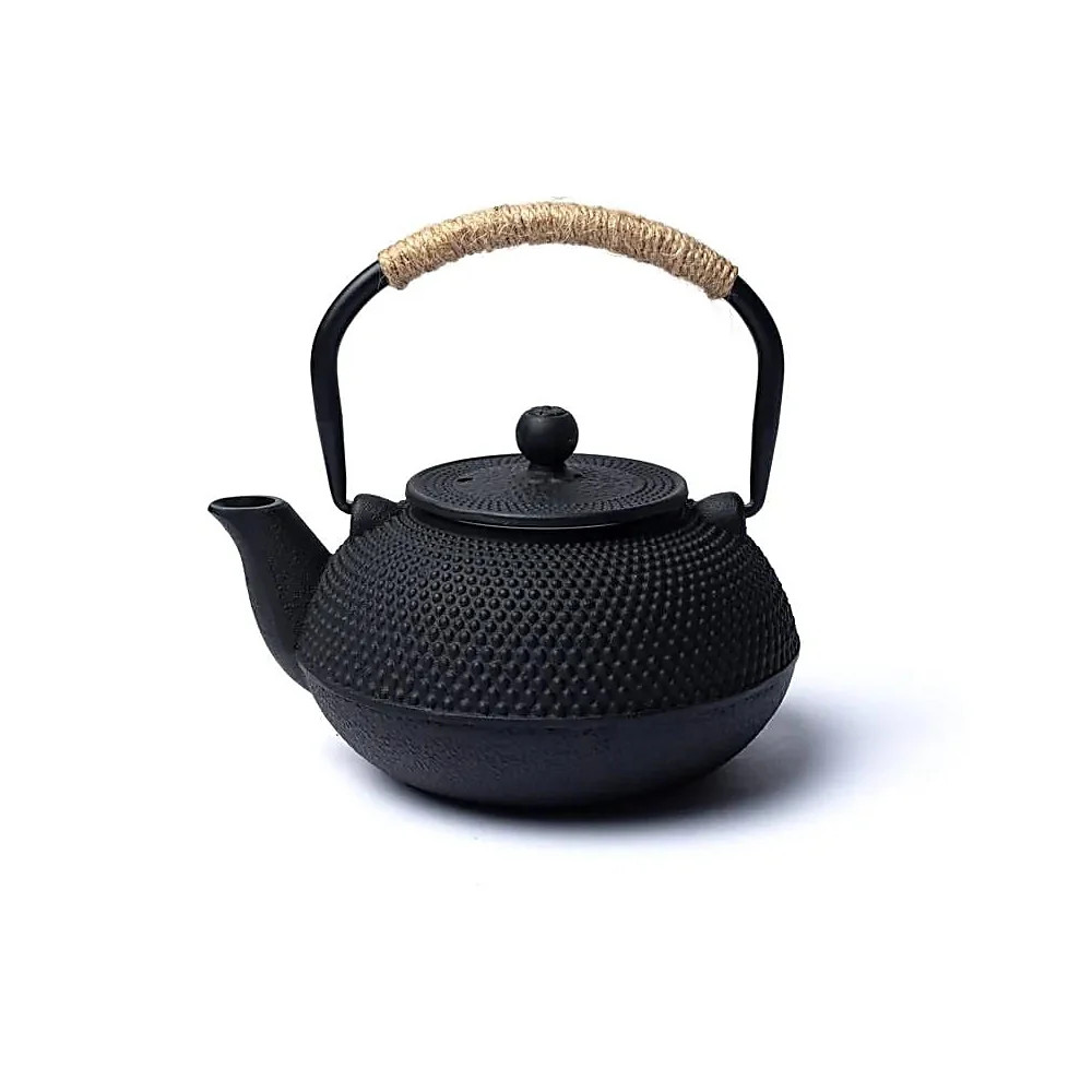Tetsubin Infuser Cast Iron Teapot 0.6L - Black Uncoated