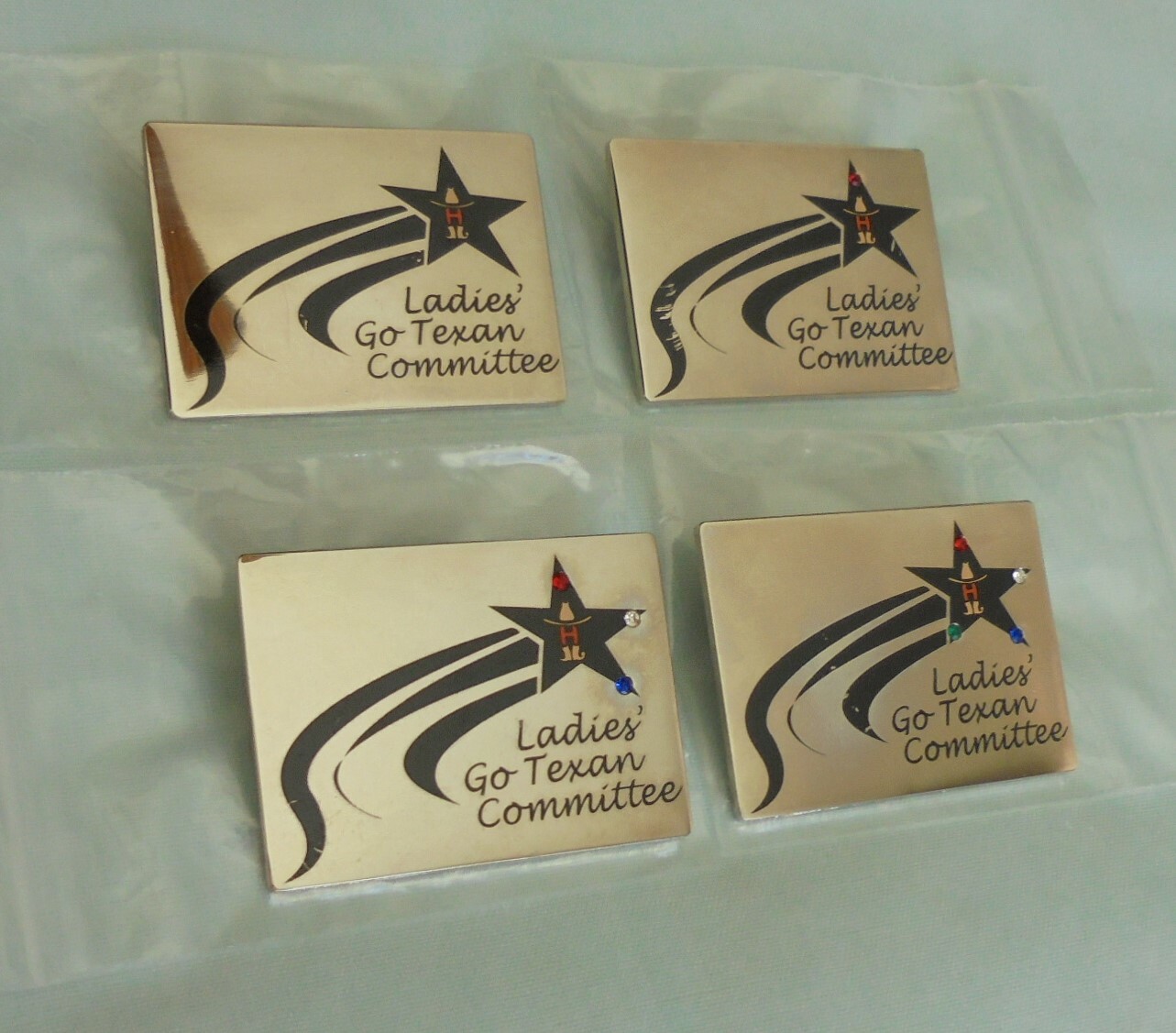 Texas Houston Livestock Show and Rodeo Ladies Go Texan Committee Lapel ...