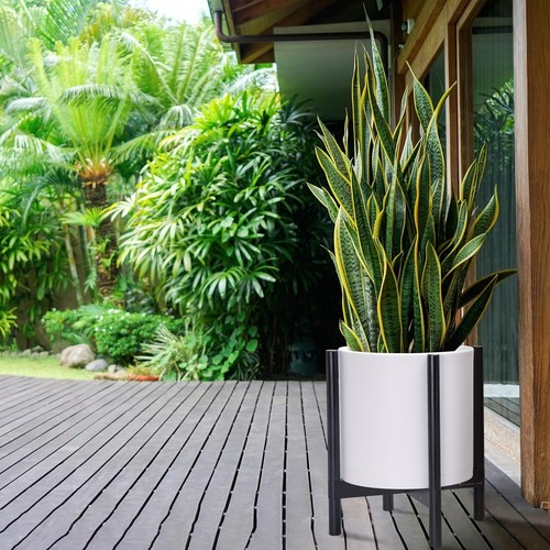 14 Inch Modern Planter Pot with Sculptural Wood Stand - Elegant Indoor Decor - Picture 8 of 8