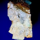 🔥ONE OF A KIND PALEO PAINTING🔥🔥 6000BCE 2’x3’ Post Clovis paleo indian era — photo 3
