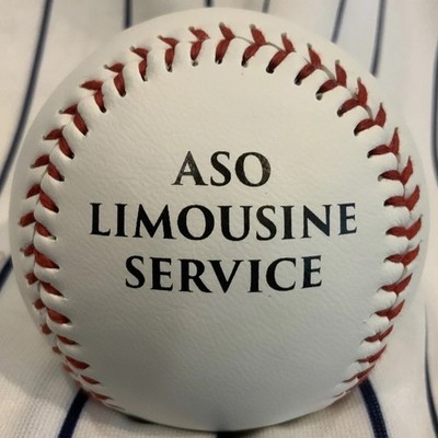 Hudson Valley Renegades SGA LIMO SERVICE Souvenir baseball collectible ball