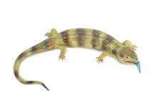 Blue Tongue Skink, Hard Rubber Lizard, Hand Painted, Realistic Toy, Gift, 15"