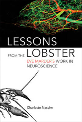 Lessons from the Lobster: Eve Marder's Work in Neuroscience - VERY GOOD