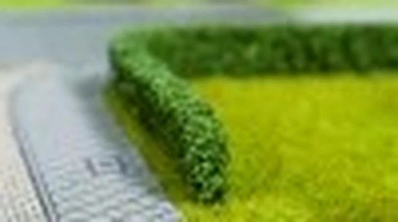 NOCH – Pot De Flocage Vert Clair 30g – Pour Modélisme Ferroviaire – NOC07241