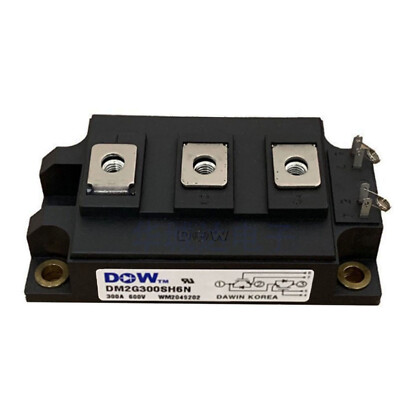 1PCS DAWIN DM2G300SH6N Power Module Supply New
