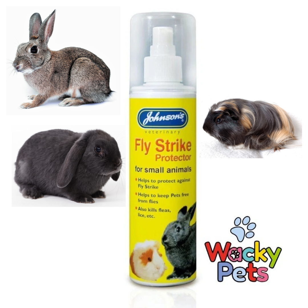 RABBIT SMALL ANIMAL FLY SPRAY Johnson's Fly Strike Protect 150ml SMALL  ANIMAL - Main Image