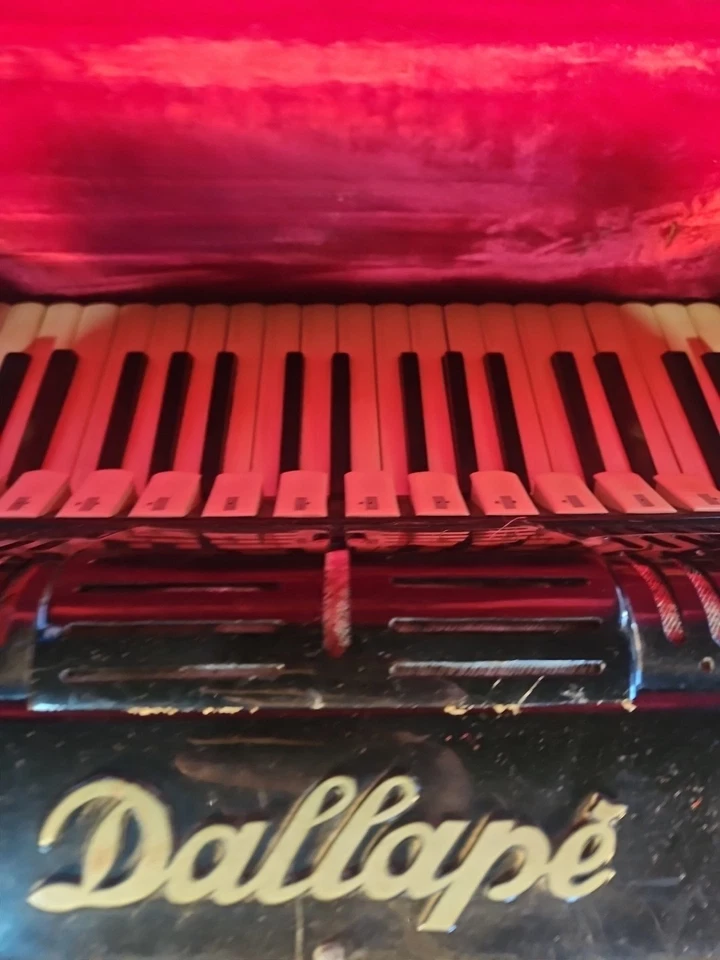 Acordeón de piano Dallape Organtone LMH 41 120 con estuche vintage italiano ¡Leer descripción!! Foto 3 de 4