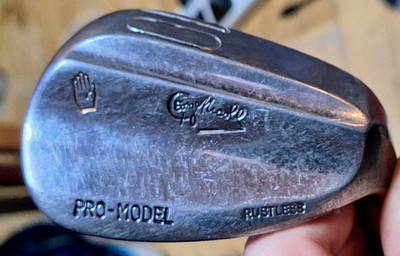 George Nicoll, Pro Model, 10 Eisen, rostfrei, R Flex, Stahlschaft,