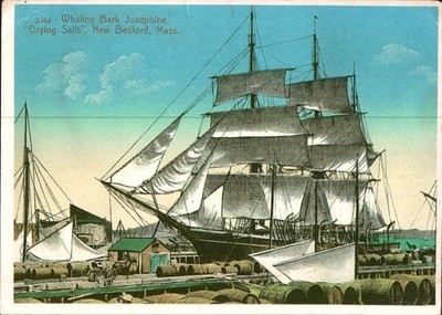 Vintage Whaling Bark Josephine Postcard New Bedford Classic Whaling Series