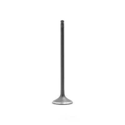 Engine Intake Valve DNJ IV295