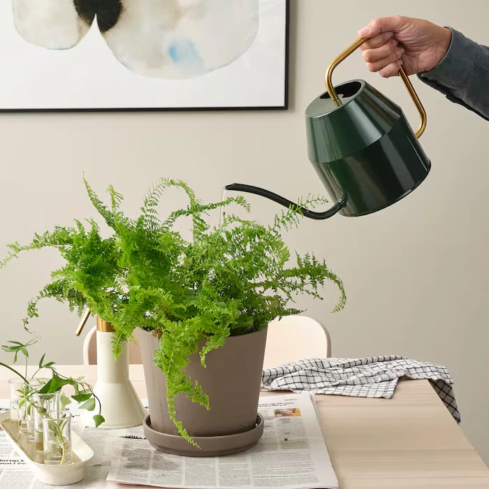 Regadera para plantas IKEA VATTENKRASSE acero verde y dorado 68 oz decoración para el hogar Foto 4 de 4