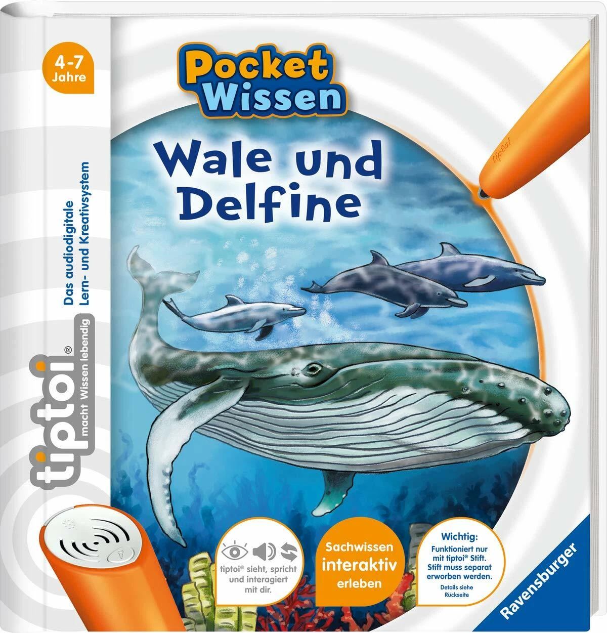 Bild 8 von 40