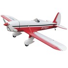 Phoenix Model 1/5 Ryan STA GP/EP/Gas ARF 70.8 PMMA1600 Airplanes ARF Scale
