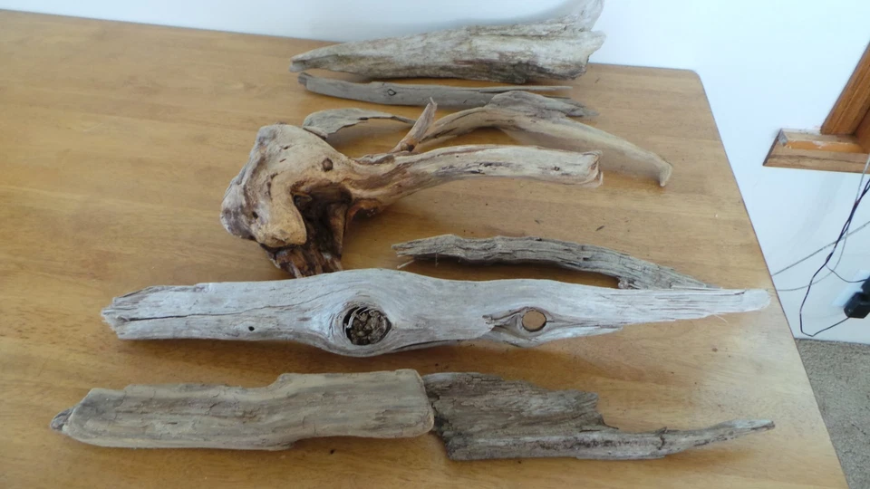 Lote de madera a la deriva sin tratar decoración de acuario terrario reptiles artesanía Foto 3 de 4