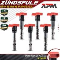 6X ZüNdspule FüR Audi A4 8E B6 8EC 8ED B7 8H A6 4B C5 4F2 4F5 C6 A8 4E 2.0 3.0L