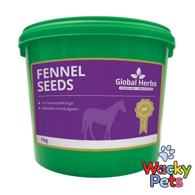 Global Herbs Fennel 1kg HORSE PONY DIGESTIVE SUPPLEMENT