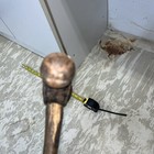 Foto 11 di 11