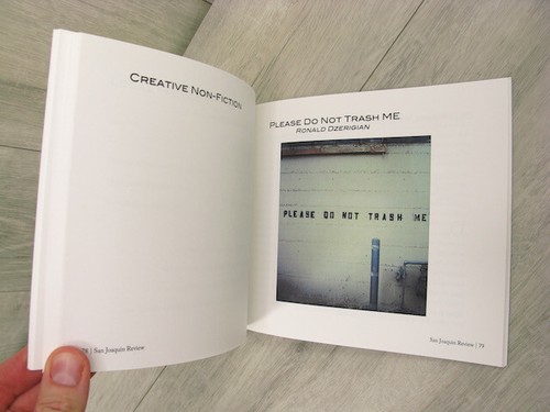 San Joaquin Review Spring 2014 TPB 1st Ed. Poetry Art Fiction Nonfiction - Foto 10 di 11