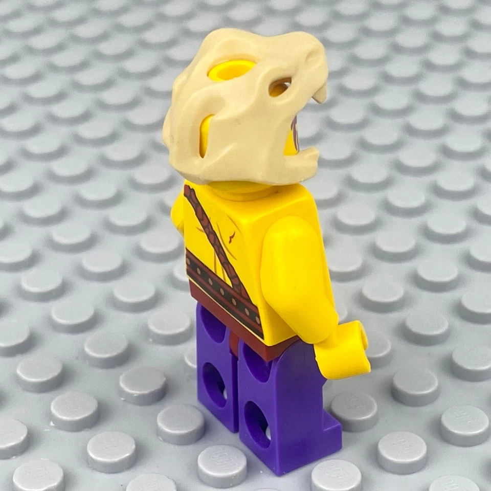 LEGO Ninjago Chope Minifigure Tournament of Elements njo138 70754 Foto 4 de 4