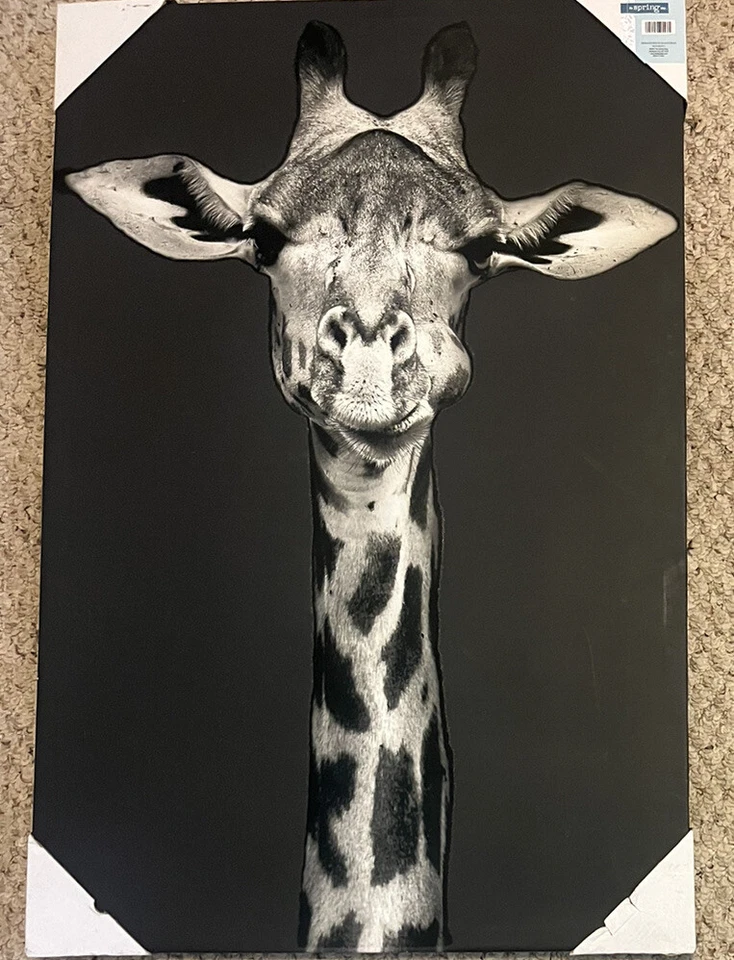 Giraffe Canvas Wall Art Picture Black And White 30” x 20” - Image 2 of 4