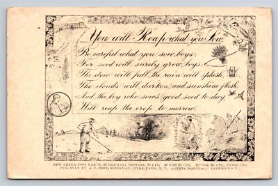 Postcard New Cheer AT Cook Hyde Temperance Reap What You Sow #1 AT12