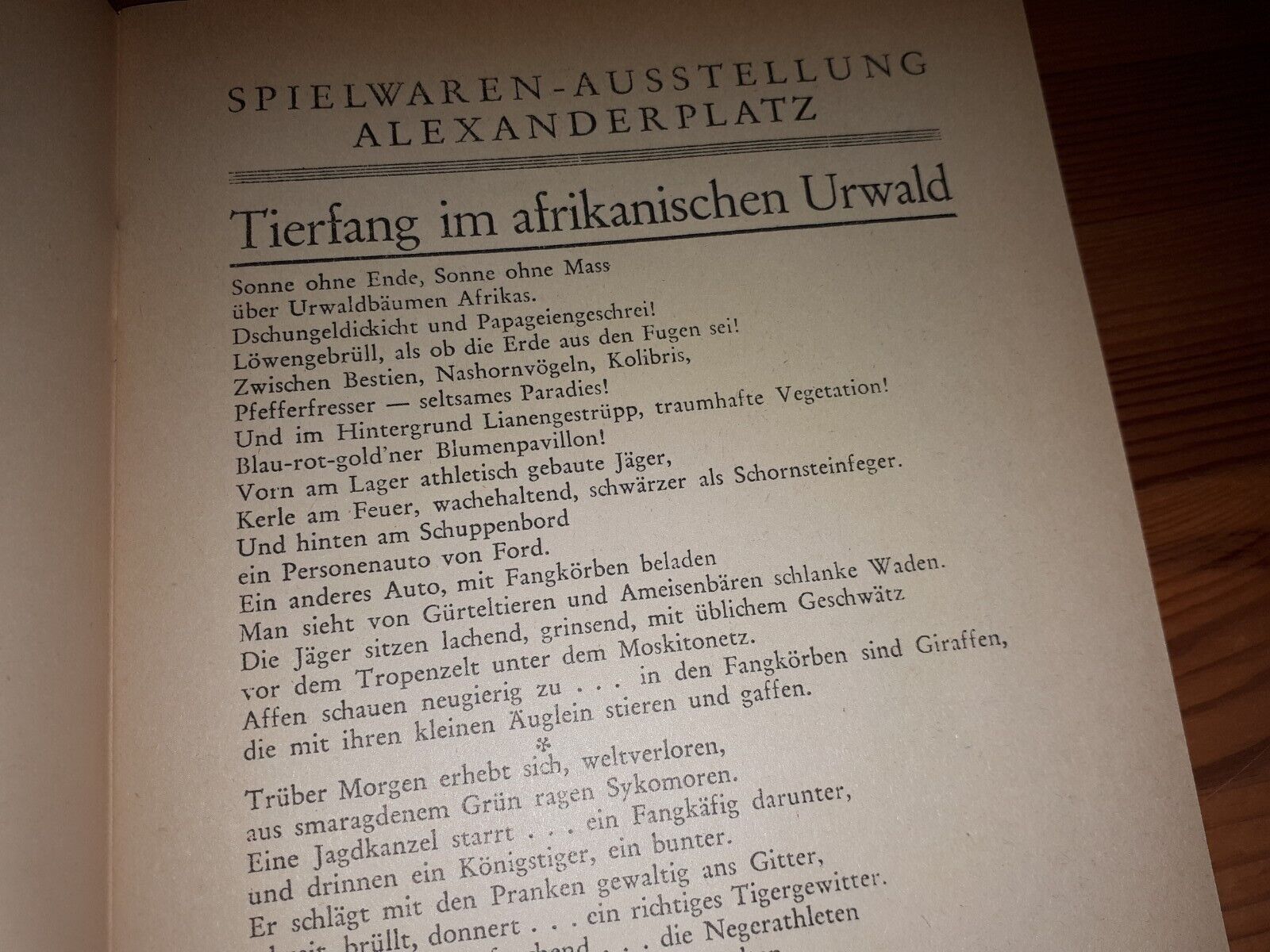 Bild 6 von 11