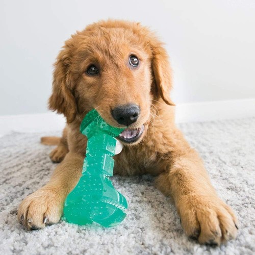 KONG Squeezz Dental Bone - Dog Toy for Cleaning Teeth - Medium, green - 第 2/6 張圖片