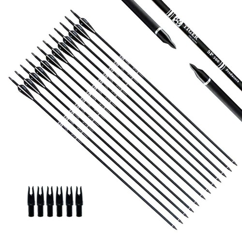 30Inch Carbon Arrow Practice Hunting Arrows with Removable Tips for Compound ...