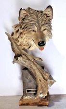 2005 Fine Art Wolf Sculpture SURVIVOR by Stephen Herrero LE 1000/2500 22" 40lbs